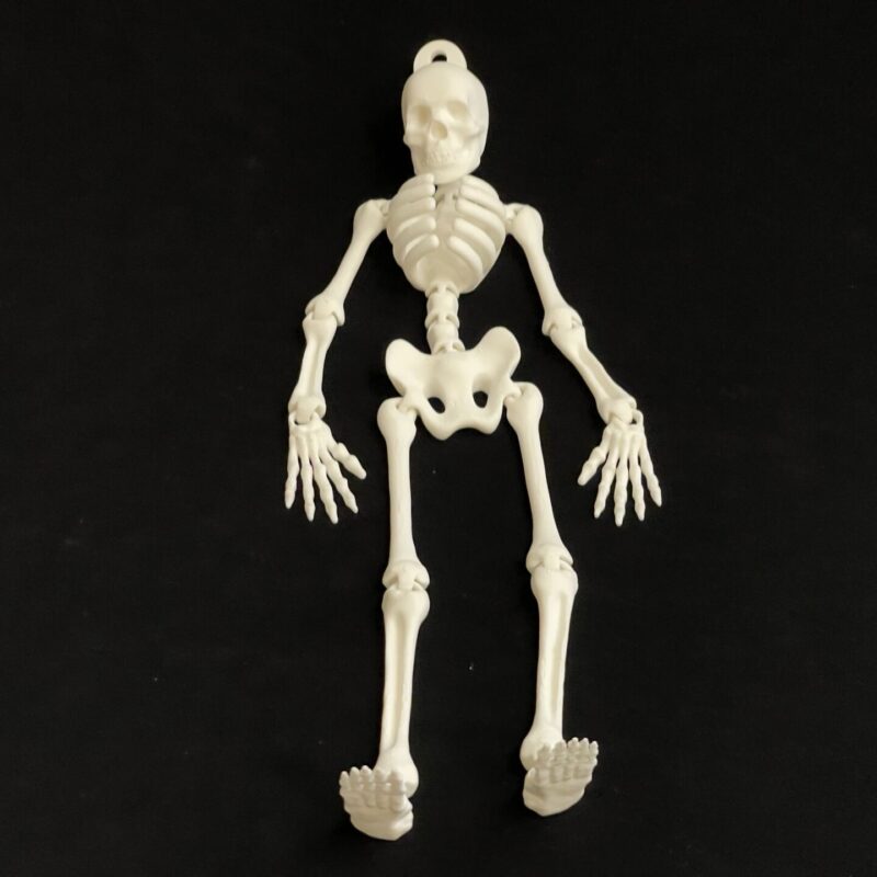 Skeleton